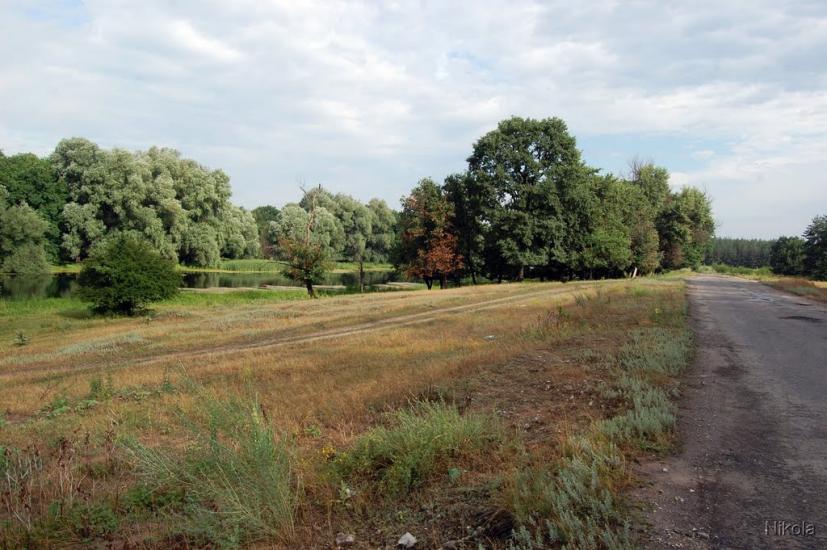 Нижнє з panoramio.com - Nyzhnye