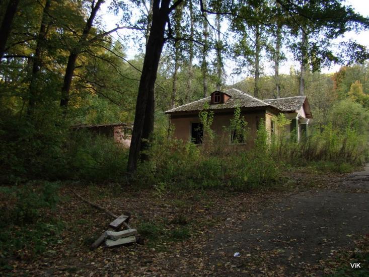 Зайченки з panoramio.com - Зайченки