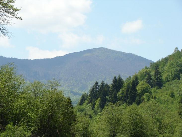 Крушельниця з panoramio.com - Крушельниця