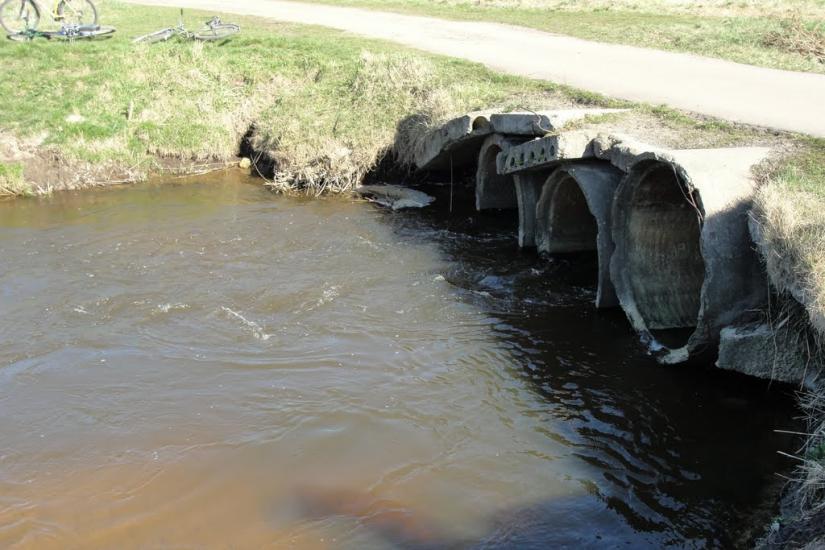 Веснянка з panoramio.com - Веснянка