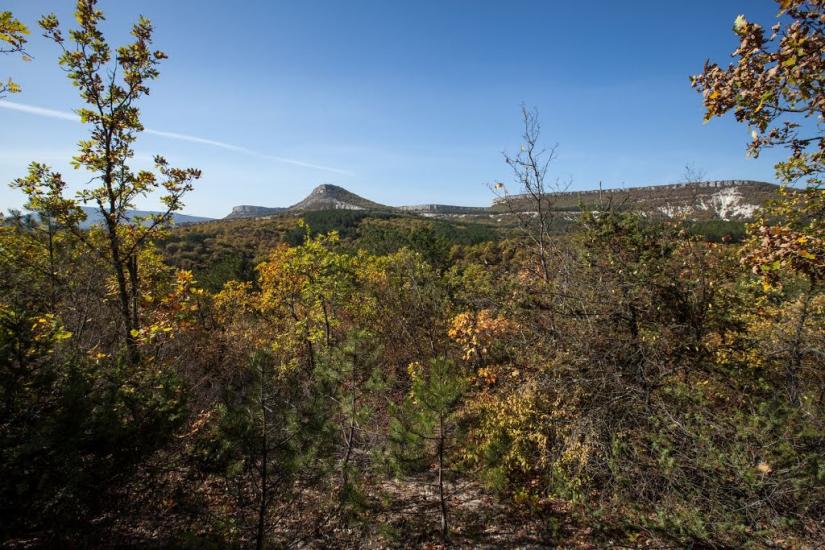 Кудрине з panoramio.com - Кудрине