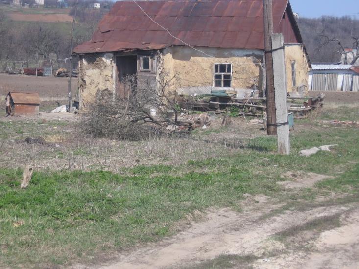 Циркуни з panoramio.com - Циркуны