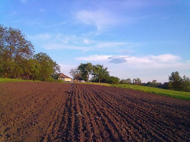 Володимирівка з panoramio.com - Володимирівка