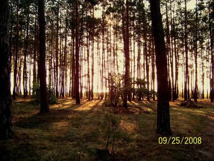 Пулемець з panoramio.com - Pulemets