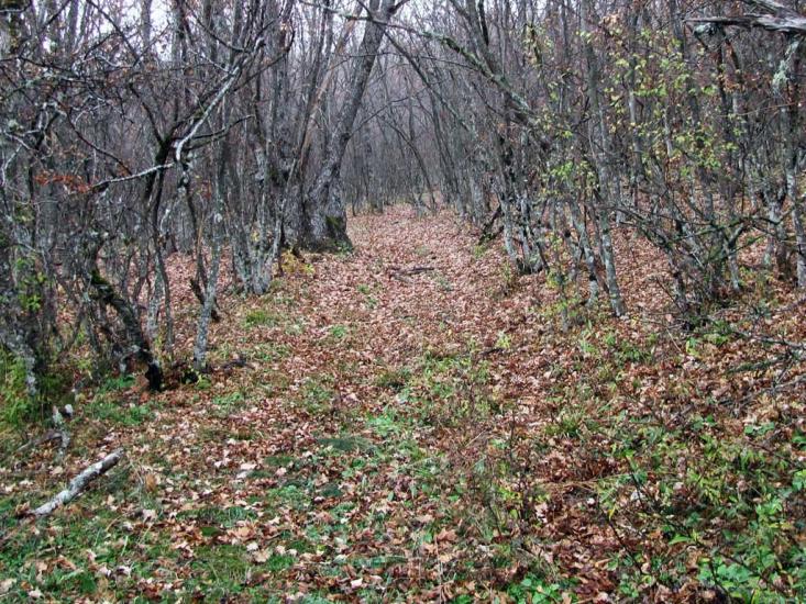 Колхозне з panoramio.com - Колхозное
