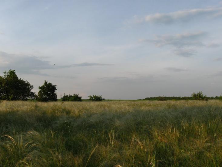 Біленьке з panoramio.com - Біленьке