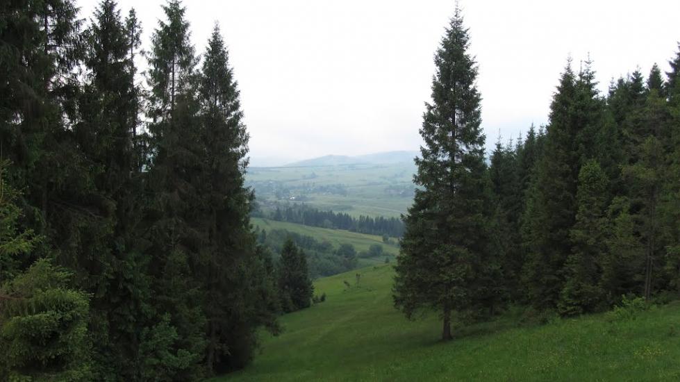 Верхнє Висоцьке з panoramio.com - Верхнє Висоцьке