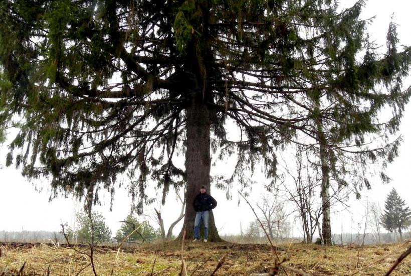 Пролетарська Рудня з panoramio.com - Пролетарська Рудня