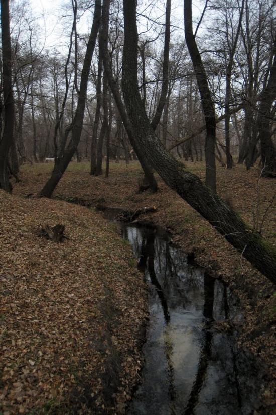 Валуйське з panoramio.com - Валуйське