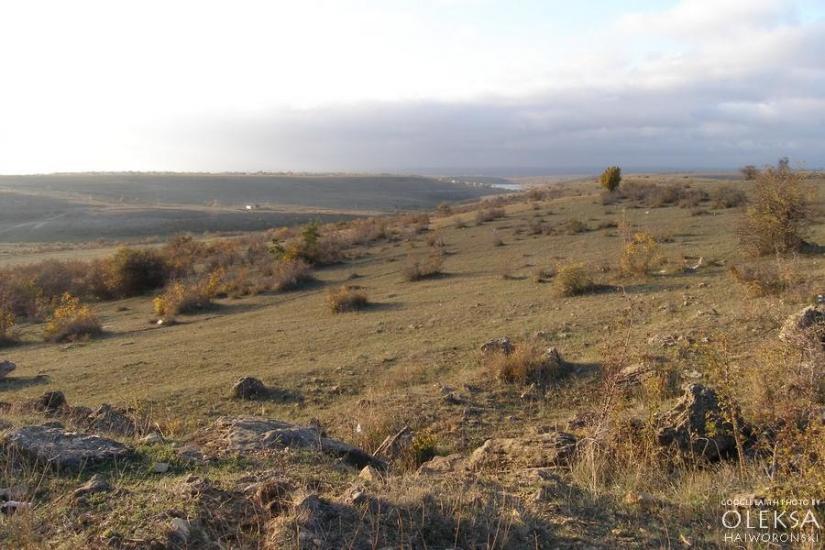 Рєпіне з panoramio.com - Рєпіне