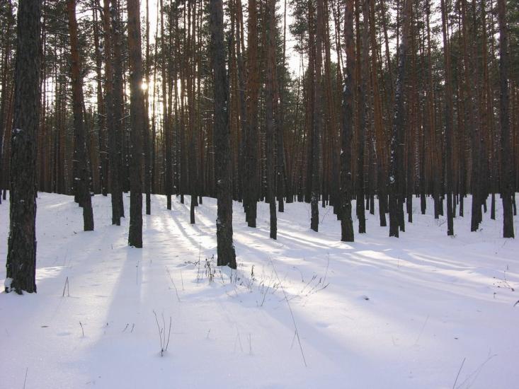 Крейдянка з panoramio.com - Крейдянка