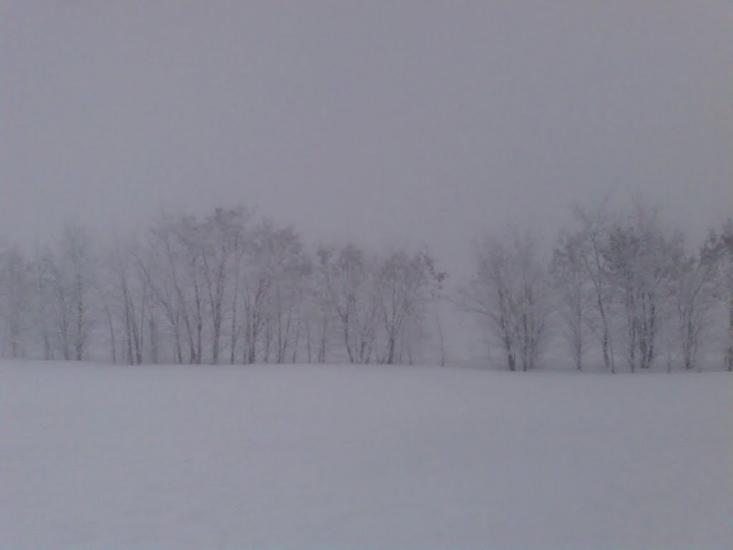 Грабовське з panoramio.com - Грабовское