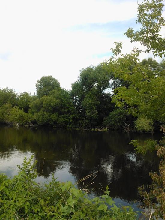 Пархоменкове з panoramio.com - Пархоменкове