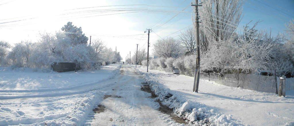 Павлівка з panoramio.com - Павловка