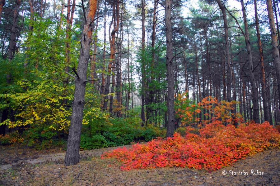 Горянівське з panoramio.com - Горяновское