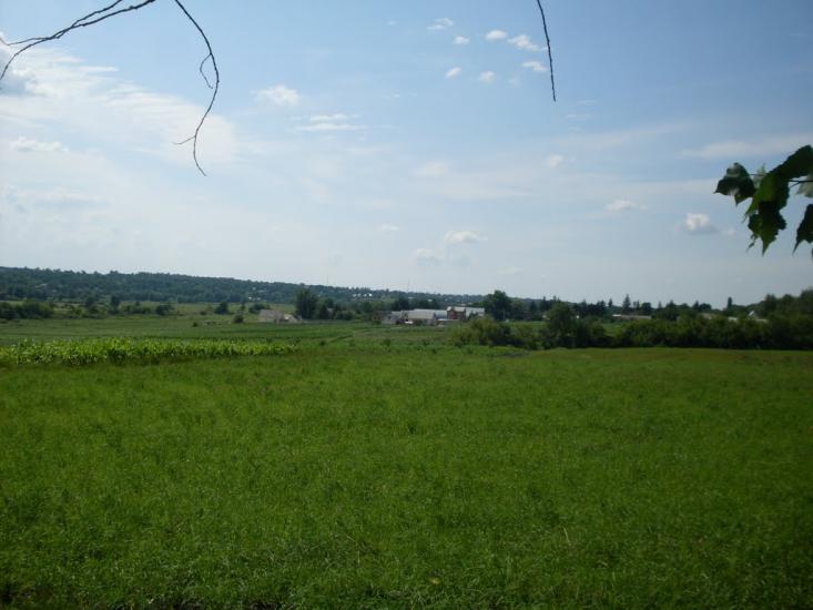 Дашів з panoramio.com - Дашев