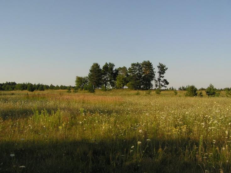Бондарівка з panoramio.com - Бондарівка
