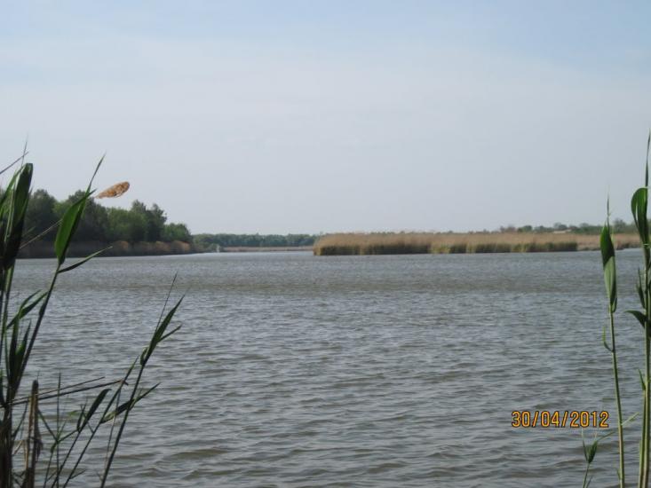 Радочини з panoramio.com - Радочини