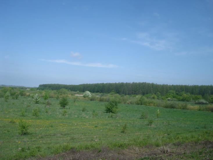 Шевченка з panoramio.com - Шевченко