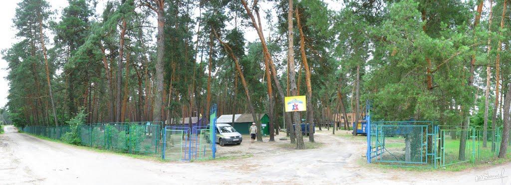 Верхоли з panoramio.com - Verkholy