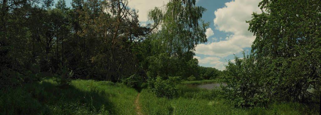 Іванковичі з panoramio.com - Иванковичи
