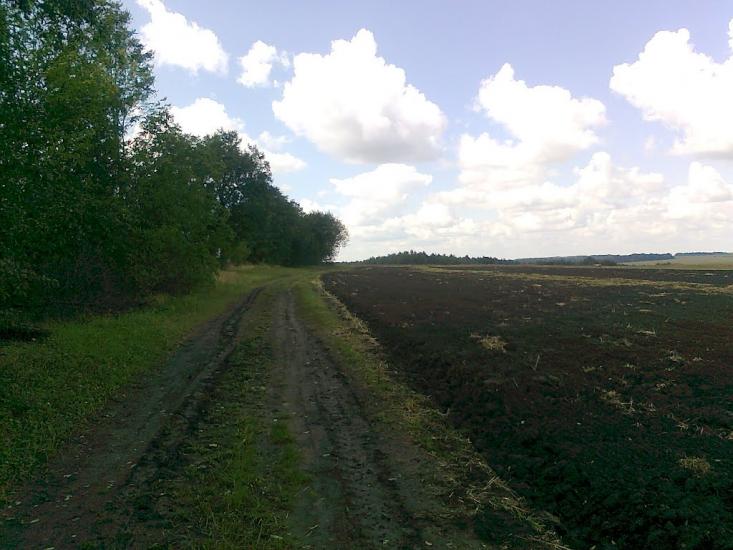 Андрушівка з panoramio.com - Андрушевка