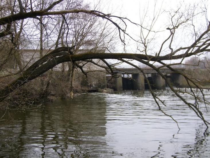 Трубіївка з panoramio.com - Трубіївка