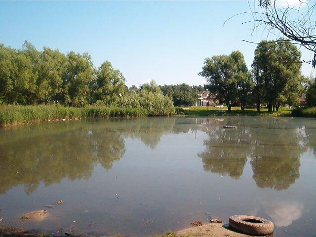 Бездрик з panoramio.com - Бездрик