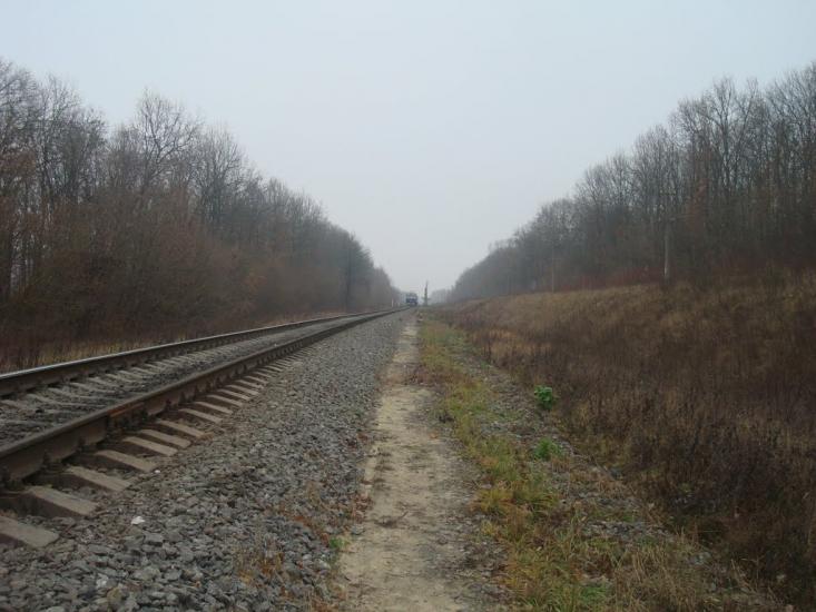 Лошківці з panoramio.com - Лошковцы