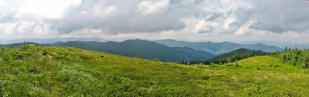 Кам'янка з panoramio.com - Каменка