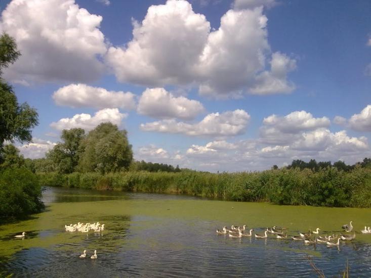 Піщанівка з panoramio.com - Песчановка