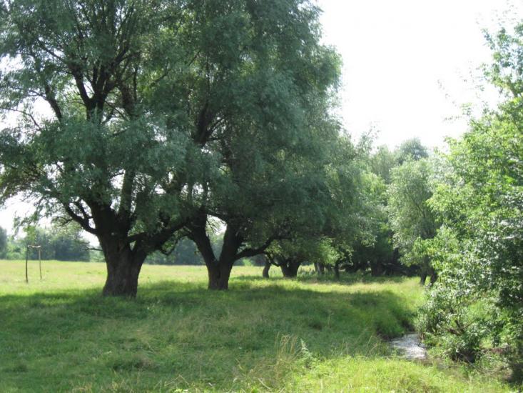 Врубівський з panoramio.com - Врубовский