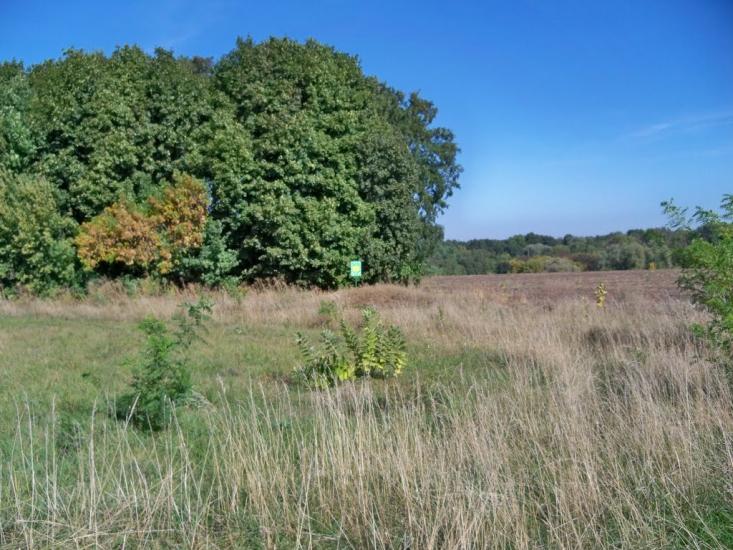 Витачів з panoramio.com - Витачев