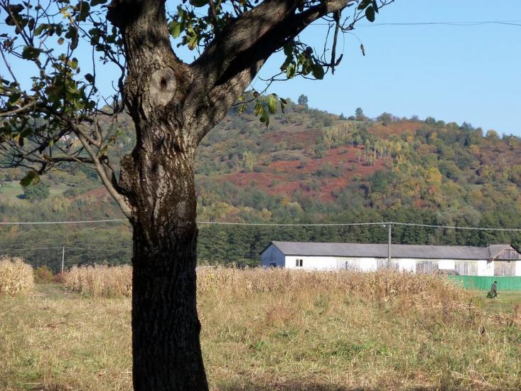 Монастирець з panoramio.com - Монастирець