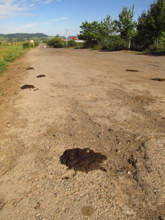 Маркова з panoramio.com - Markova