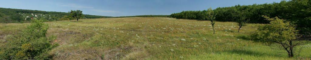 Мохнач з panoramio.com - Мохнач