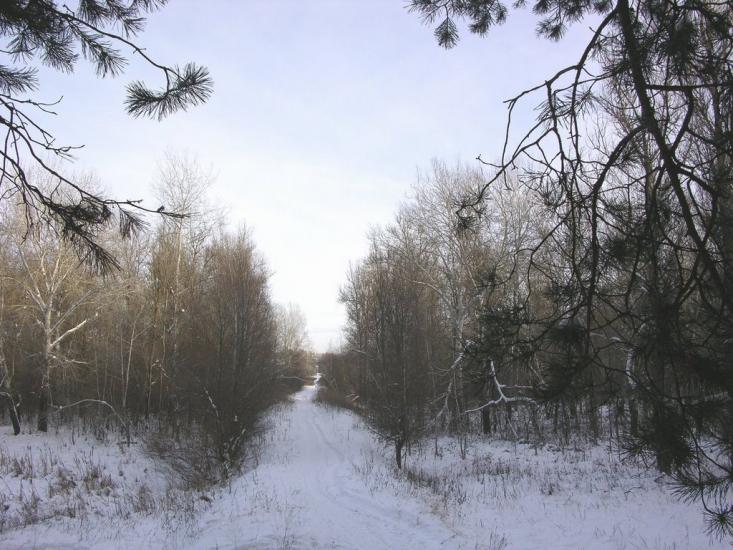 Крейдянка з panoramio.com - Крейдянка
