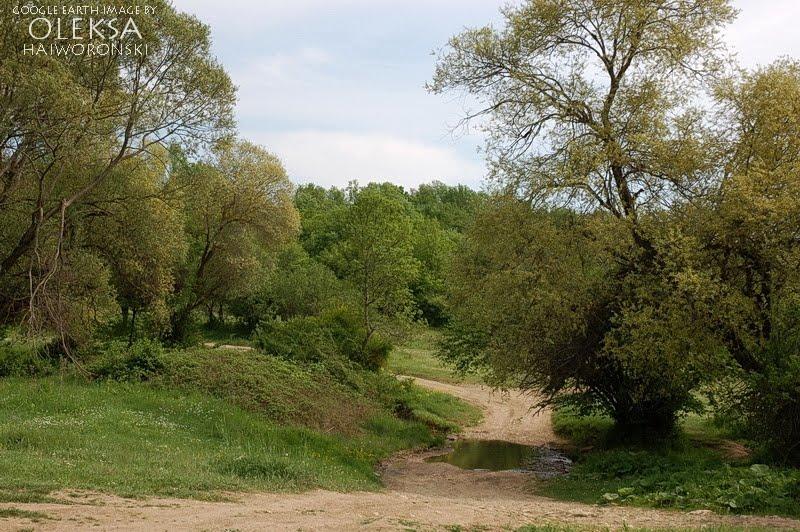 Новобобрівське з panoramio.com - Новобобровское