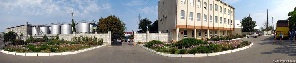 Ленінка з panoramio.com - Ленінка