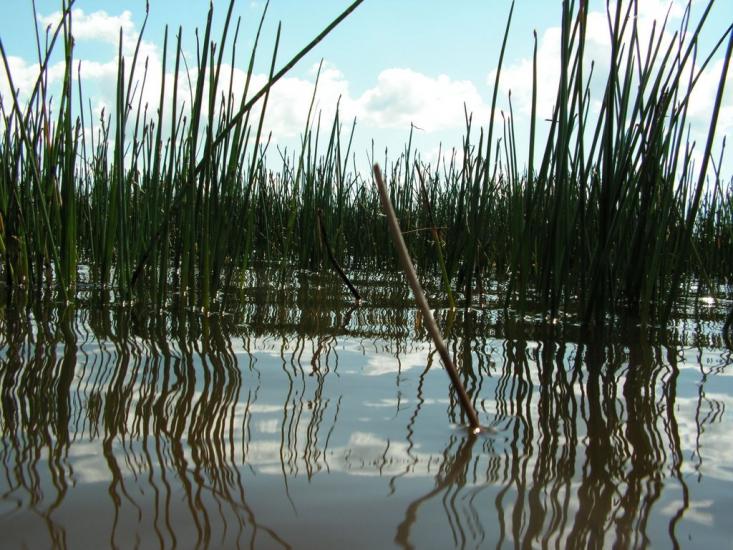 Шацьк з panoramio.com - Шацк