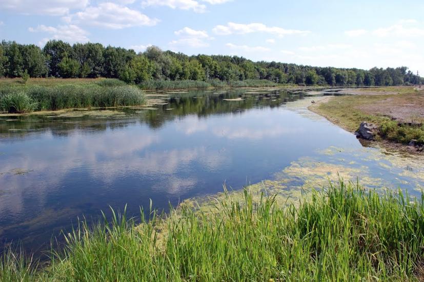 Шульгинка з panoramio.com - Шульгинка
