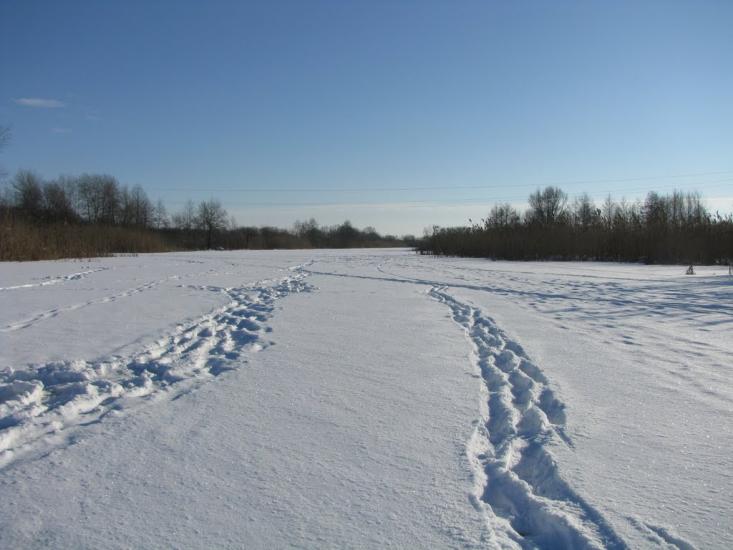 Білопілля з panoramio.com - Белополье