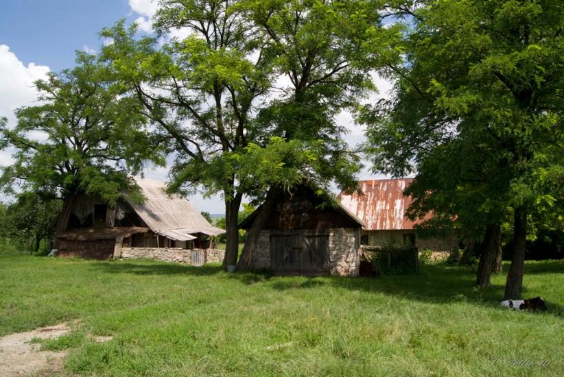 Сокілець з panoramio.com - Соколец