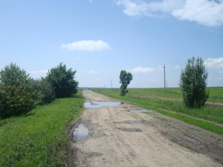 Черепова з panoramio.com - Черепова