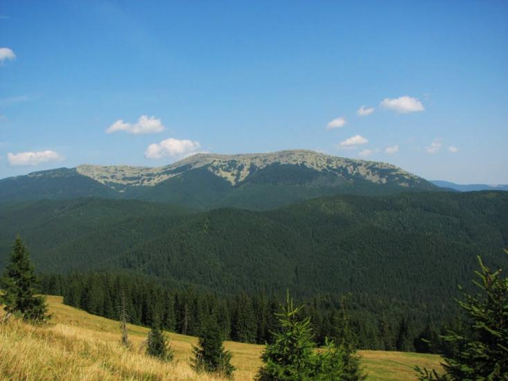 Стебний з panoramio.com - Стебний