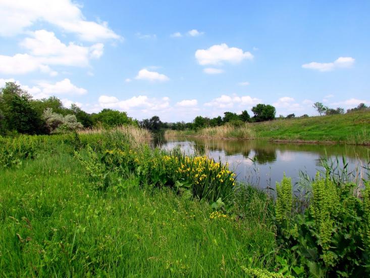 Інгулець з panoramio.com - Ingulets