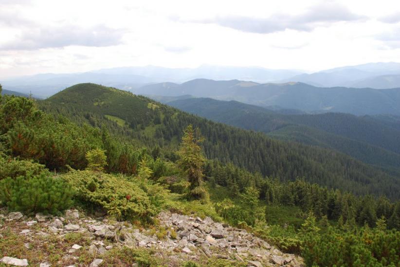 Черник з panoramio.com - Черник