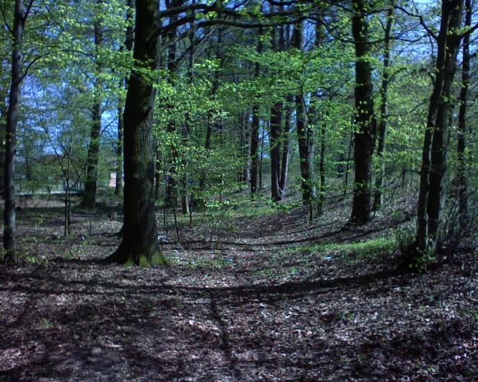 Брюховичі з panoramio.com - Bryukhovychi