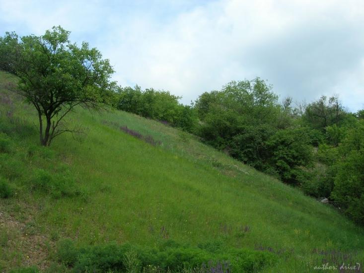 Інгулець з panoramio.com - Ингулец