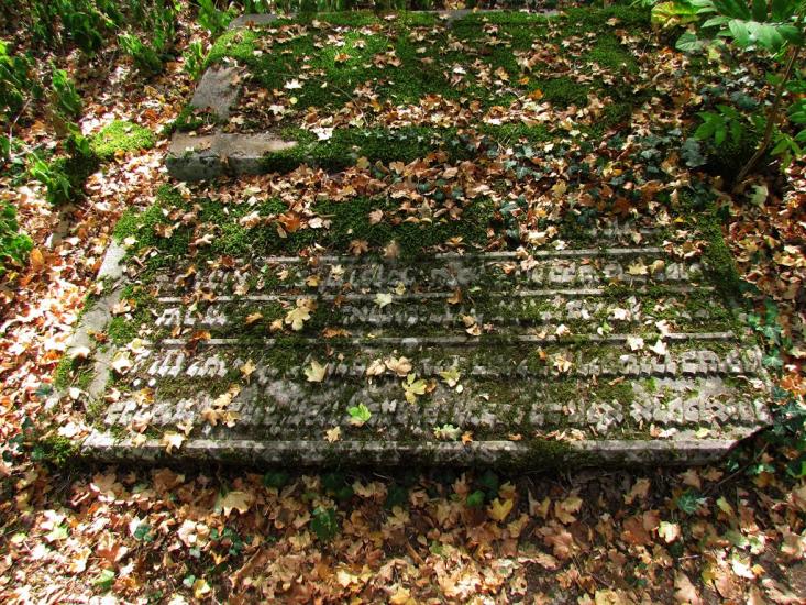 Кудрине з panoramio.com - Кудрине
